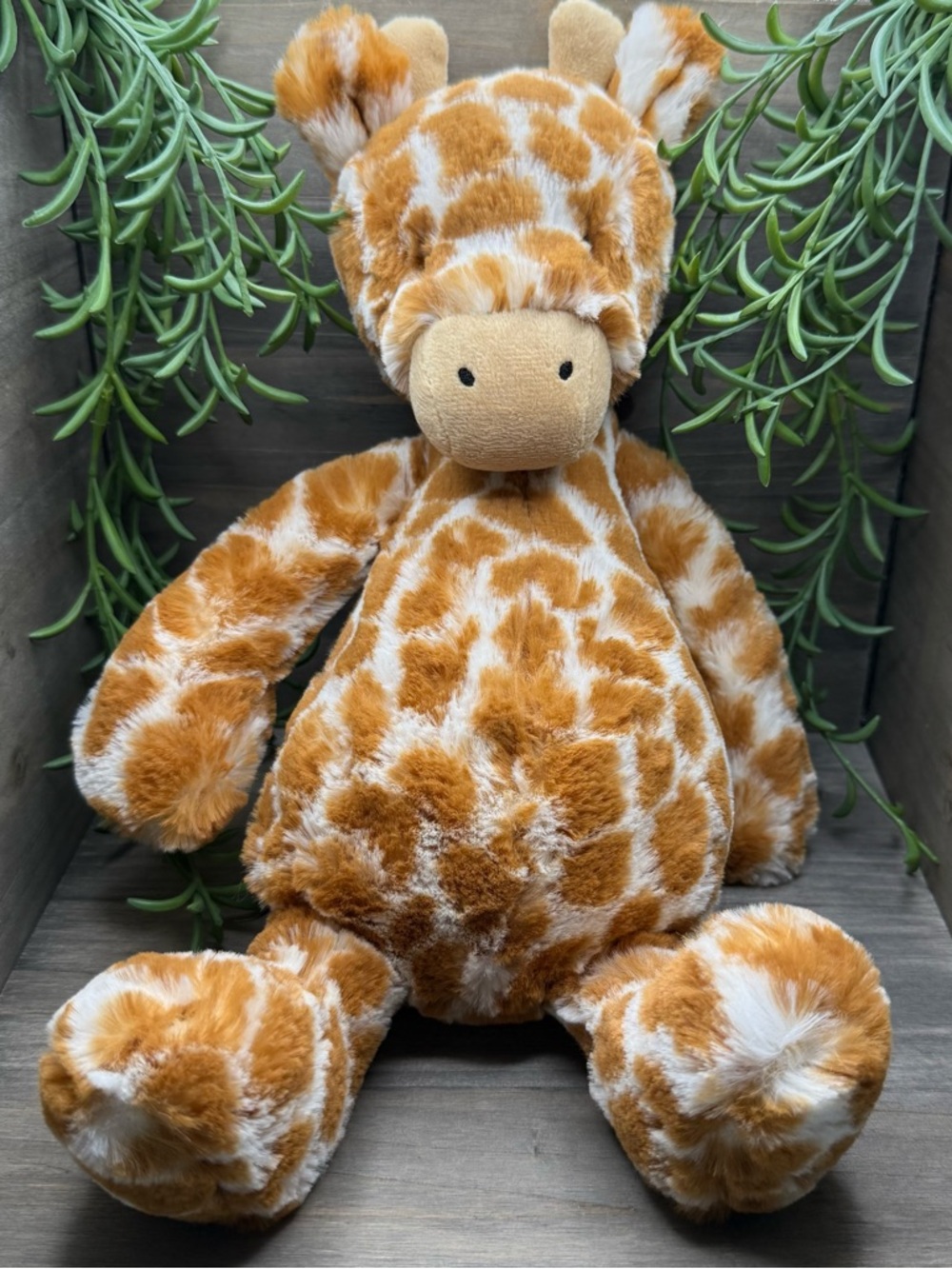 Jellycat Bashful Giraffe